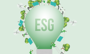 iniciativa esg 2