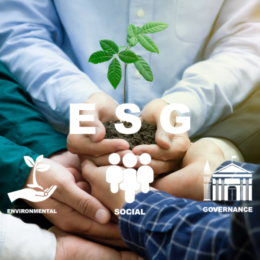 Comunicación global ESG