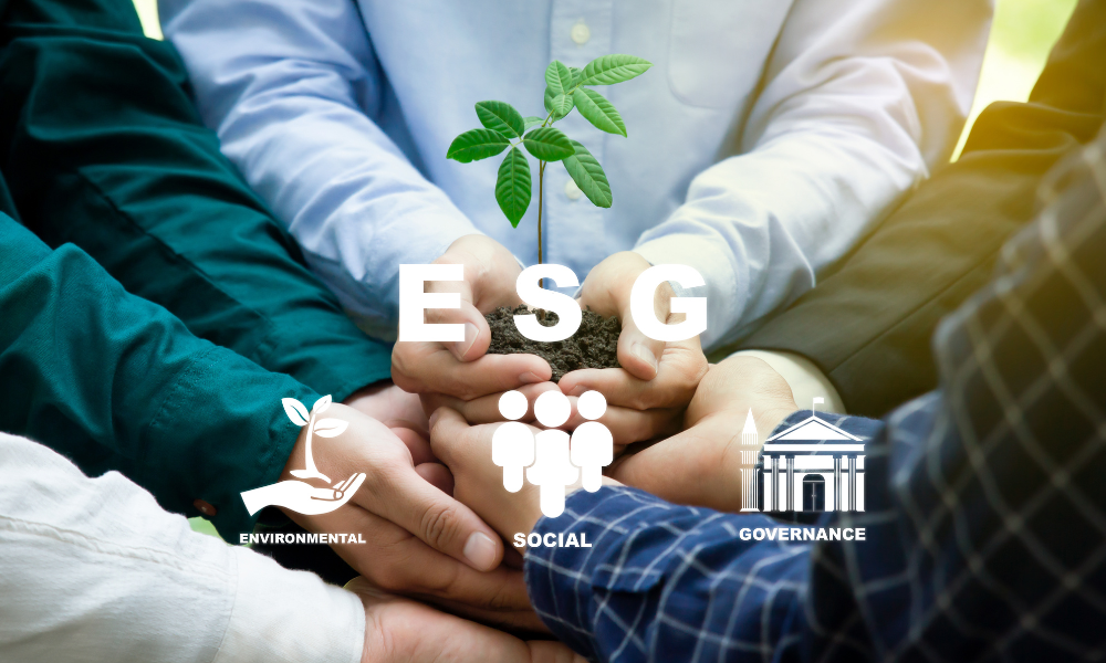 Comunicación global ESG